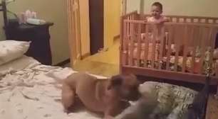 Que farra boa! Bebê e cão protagonizam momentos de fofura
