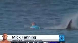 Surfista é atacado por tubarões 'ao vivo': veja