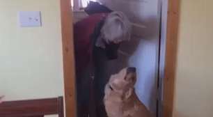 Cachorro recusa beijo e vídeo faz sucesso na web
