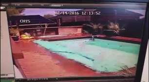 Vídeo mostra efeito de terremoto em piscina na Nova Zelândia