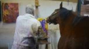 Metro, o cavalo de corrida que escapou de ser sacrificado ao virar pintor