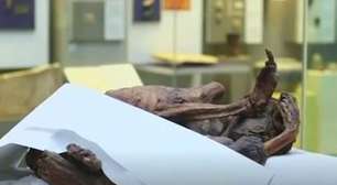 Descobertas tatuagens mais antigas do mundo em múmias