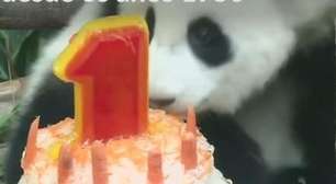 Filhote de panda ganha festa de aniversário na Malásia