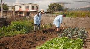 Projeto de agricultura urbana ajuda refugiados da Venezuela
