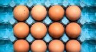 Como os ovos podem ajudar a nos proteger da gripe