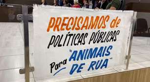 Audiência pública sobre causa animal é realizada em Cascavel