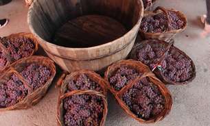 Colheita de uvas abre programação especial de enoturismo no RS