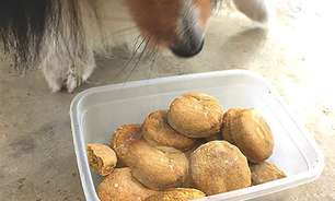 Biscoitos de frango bom para cachorro