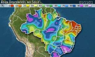 Mato Grosso atinge mais de 83% das áreas semeadas com soja