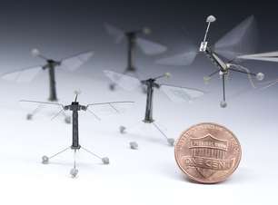 "Robô-libélula" faz primeiro voo estável após 12 anos de pesquisa