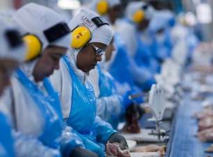 Maior empresa de carnes do mundo, JBS é vítima de ciberpiratas