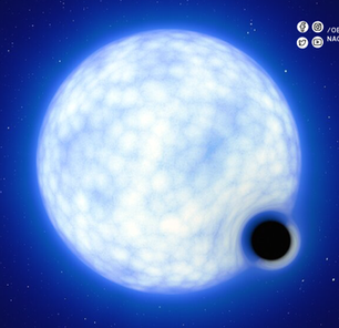 Brasileiro atuou em descoberta do primeiro buraco negro fora da Via Láctea