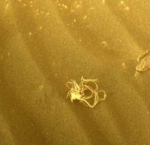 NASA descobre origem de "espaguete" em Marte