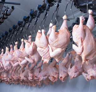 Exportação de frango ao Catar cresce em receita