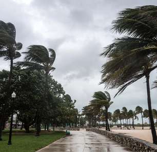 Rajadas de vento provocadas pelo ciclone batem recordes