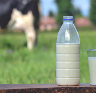 Preço e crise: estamos consumindo sobras da indústria leiteira