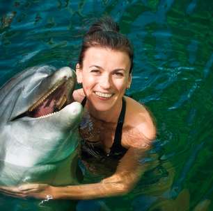 Descubra cinco lugares para nadar com golfinhos no Caribe