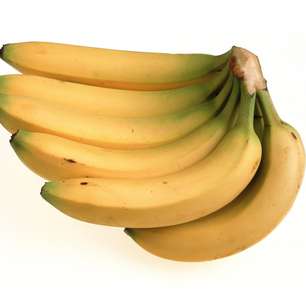 De banana a babosa, veja fontes inusitadas para produção de álcool