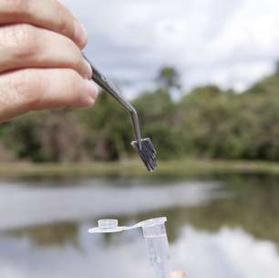 Novas tecnologias buscam aumentar eficiência na agropecuária