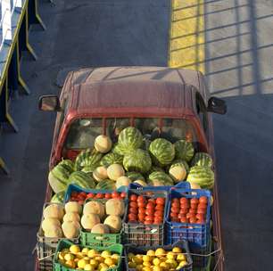 Evento tem novidades da pós-colheita de frutas e hortaliças