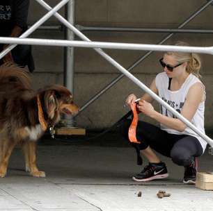DNA ajudará a achar quem não recolhe cocô de cachorro da rua