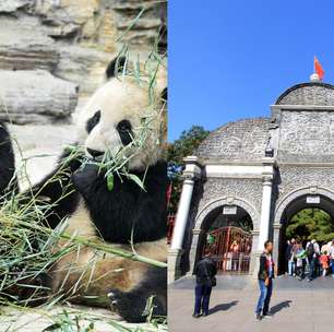 Que fofura! Veja 8 zoológicos imperdíveis para visitar