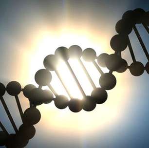 Estudo diz que mundo terá "Google do DNA" em 10 anos