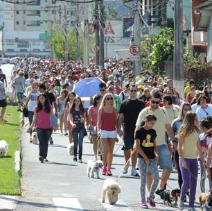 vc repórter: Cãominhada reúne 1,4 mil cães em SC; veja fotos