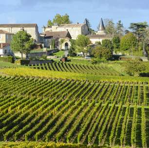 Vinhos Bordeaux serão ponto alto de cruzeiros fluviais
