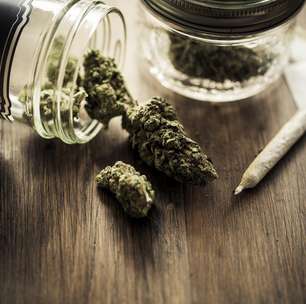 Maconha pode ser promissora no tratamento de câncer cerebral
