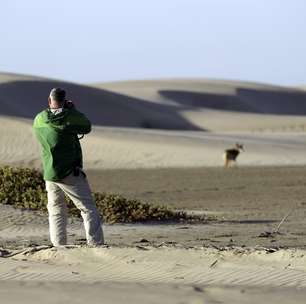 Lawrence Wahba será atração em cruzeiro na Baja Califórnia