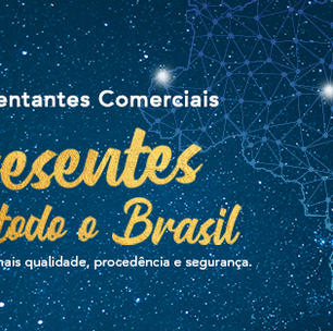 O papel dos representantes comerciais na economia