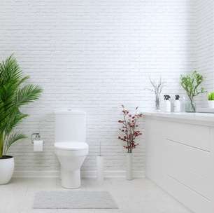 Feng Shui: tome cuidado com o ladrão de energia da sua casa