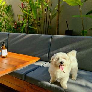 Canopy São Paulo - Dá para ser turista na própria cidade