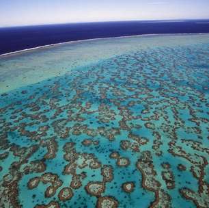 Apesar da recuperação, Grande Barreira de Coral permanece em risco