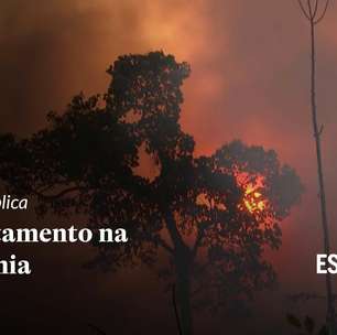 Entenda as consequências do desmatamento na Amazônia