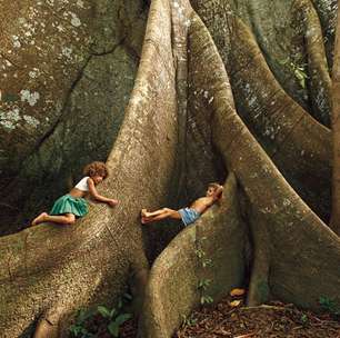 Fotógrafo registra há 50 anos a natureza que o Brasil está destruindo