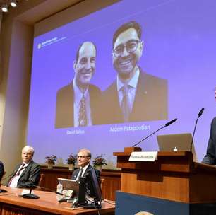 Descobertas premiadas com Nobel podem ajudar na dor crônica