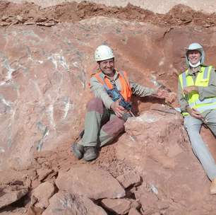 Fóssil de dinossauro é resgatado em obra de rodovia de SP