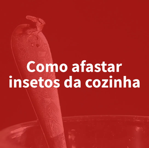 Como afastar insetos da cozinha