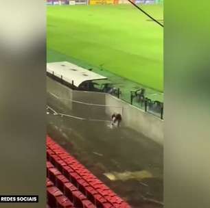 SPORT: Natação? Torcedor aproveita tempestade na Ilha do Retiro e nada em área alagada na arquibancada