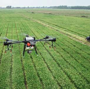 Conheça 4 principais tendências tecnológicas do agronegócio