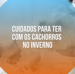 Cuidados para ter com os cachorros no inverno