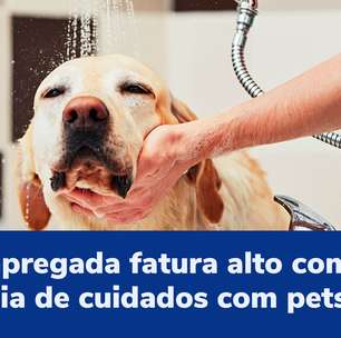 Desempregada fatura alto com franquia de cuidados com pets