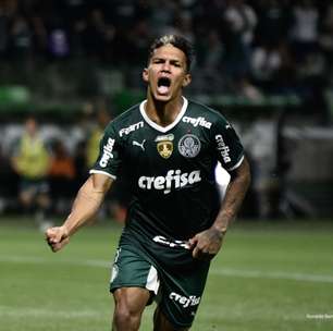 Palmeiras e Atlético-MG são os favoritos ao título do Brasileirão