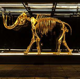 Quase 100 genes foram perdidos durante a evolução do mamute-lanoso, diz estudo