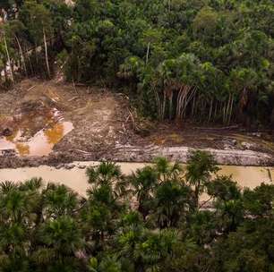 Desmatamento na Amazônia Legal é o maior em 15 anos, aponta Imazon