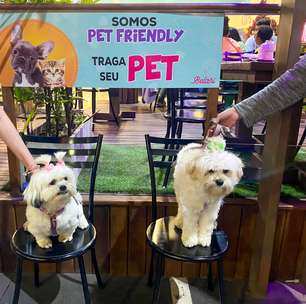 Em Osasco, gelateria chama a atenção por espaço pet friendly
