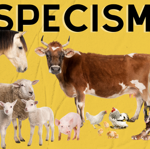 Especismo: entenda o termo que motiva os veganos
