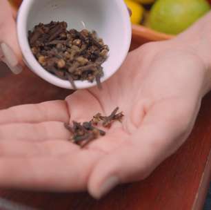 Xô, insetos! Como manter bichinhos longe da cozinha